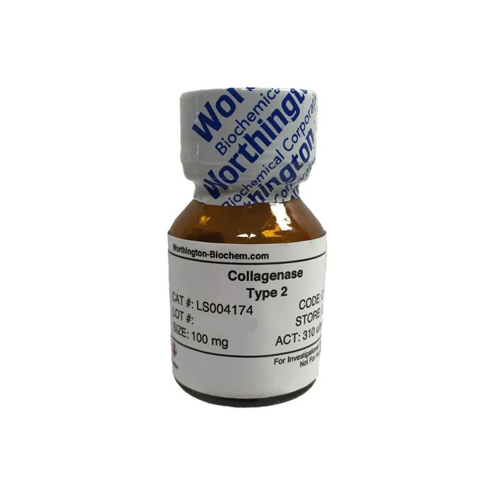 Collagenase Type CLS-2