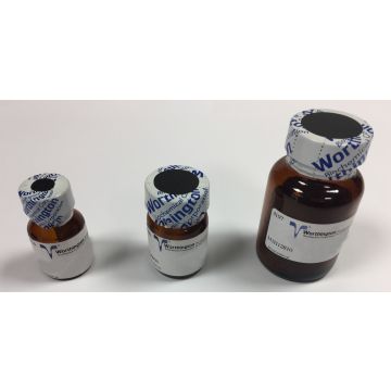 Adenosine Deaminase ADA 250 un